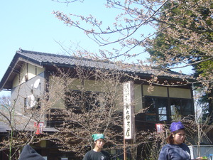P1060166.JPG