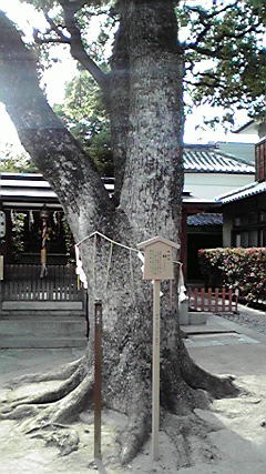 2010050915330000.jpg