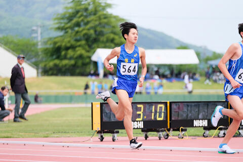 2505036.jpg
