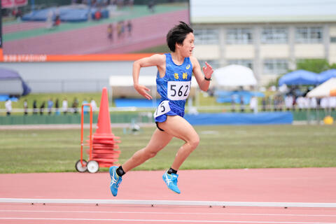 2505037.jpg
