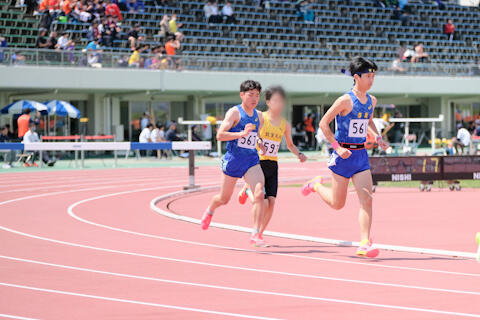 2505041.jpg