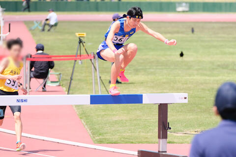2505042.jpg