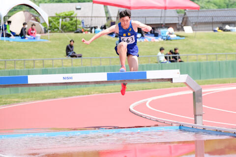 2505043.jpg