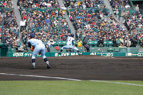 1903273.jpg