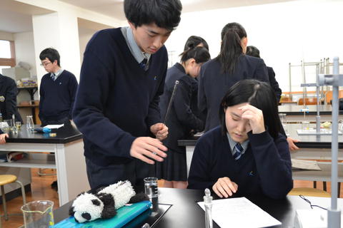 実験写真3.JPG