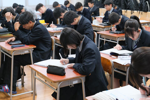 2505081.jpg