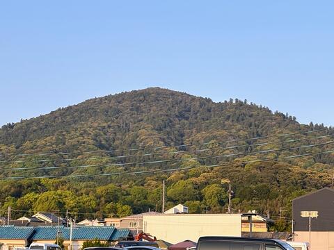 IMG_0542.jpg