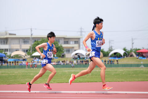2506022.jpg