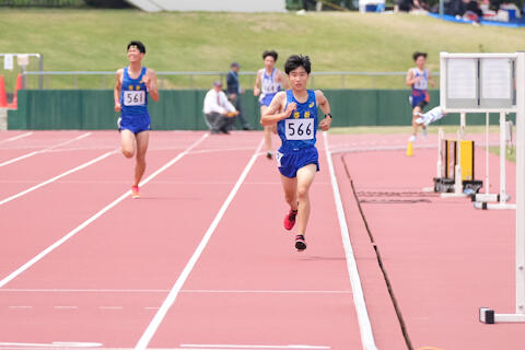 2506023.jpg