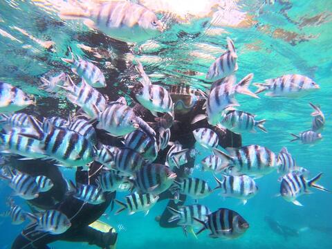 IMG_1165.JPG