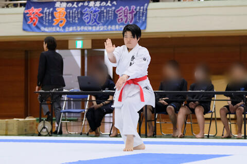 2505311.jpg