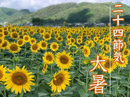ダウンロード.jpg
