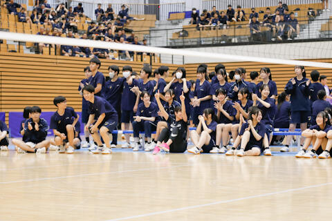25070810.jpg