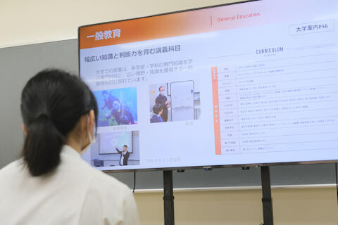 2507187.jpg