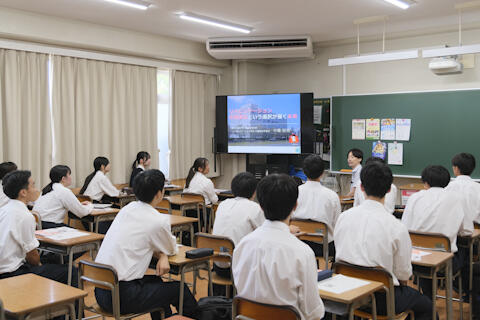 2507188.jpg