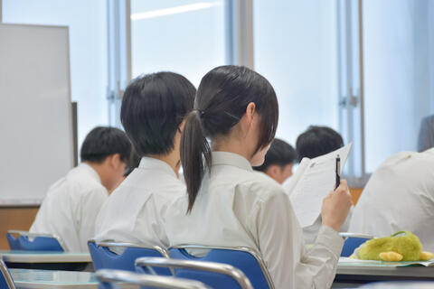2507285.jpg