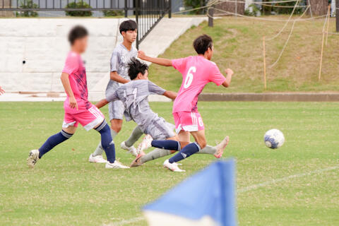 25101817.jpg