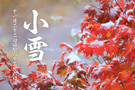 ダウンロード (7).jpg