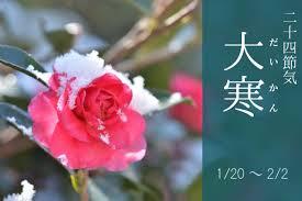 大寒.jpg